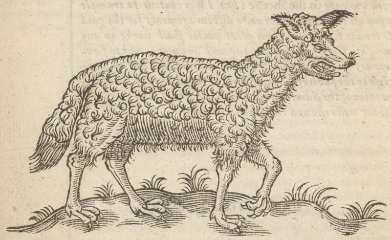 Illustration of wolf in sheep’s clothing from Folger STC 6608 Copy 1.